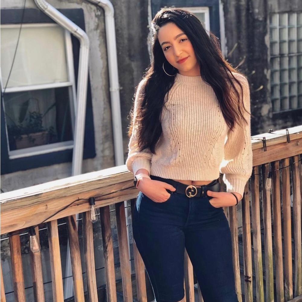 American Eagle Cropped Sweater